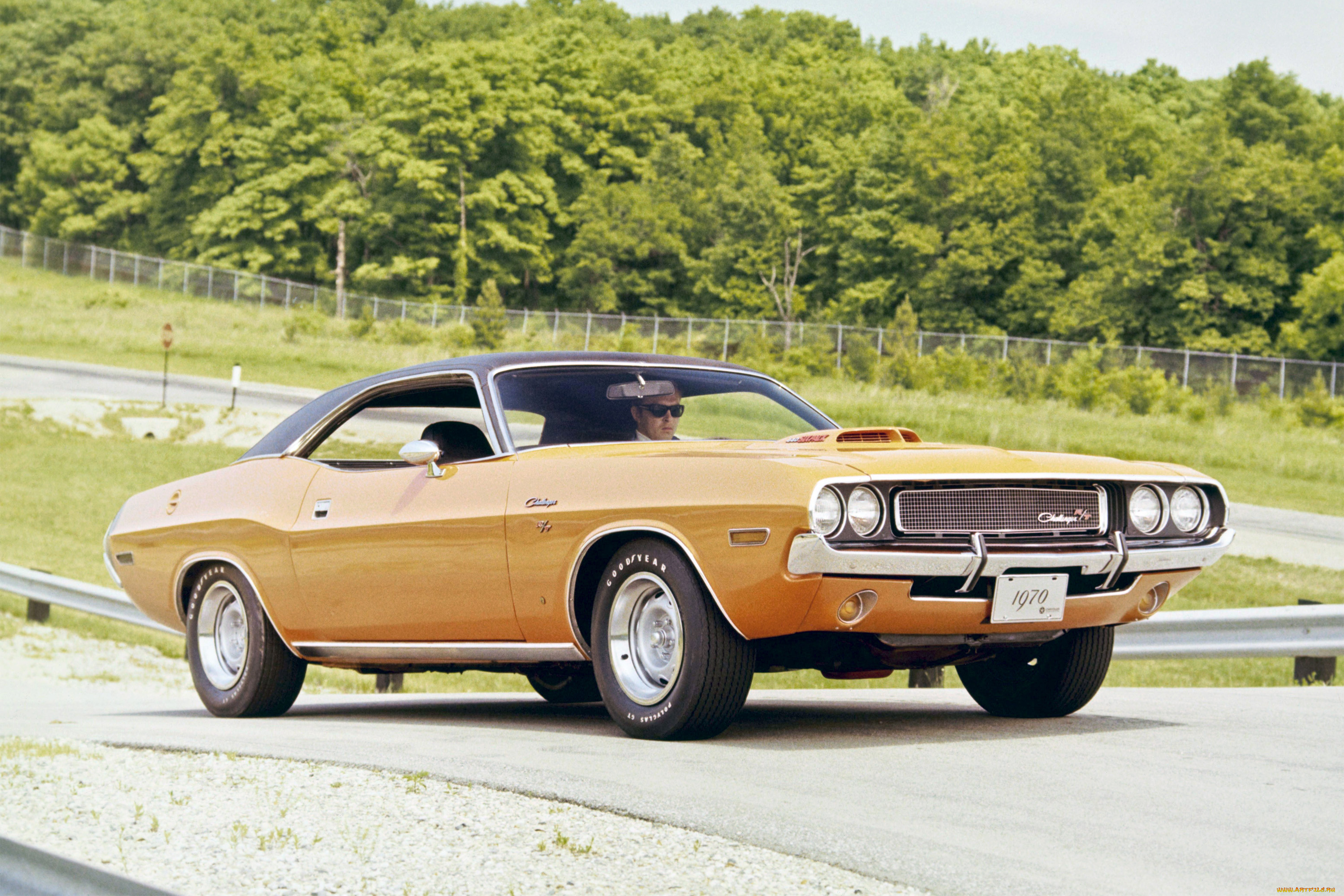 , dodge